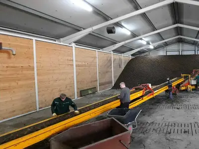 Kartoffeln einlagern