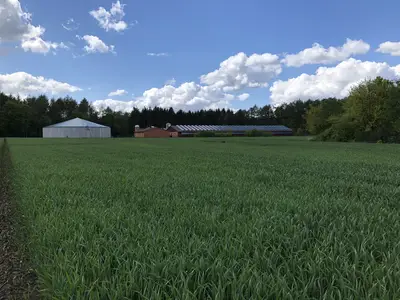 Winfried Kl&auml;ne-Menke