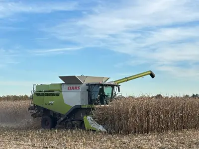 Heymann H&auml;hnchenmast GbR