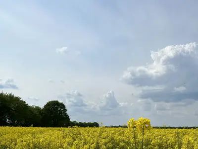 Winfried Kl&auml;ne-Menke