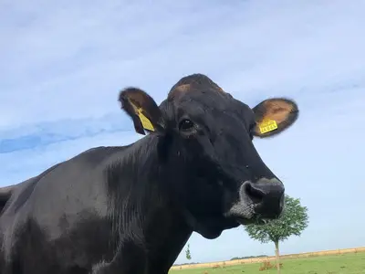 Kehlbecks Landwirtschaft GbR