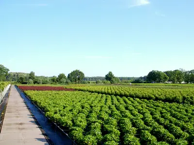 Blick auf die Freilandfl&auml;che