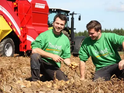 Qualitätskontrolle bei der Kartoffelernte
