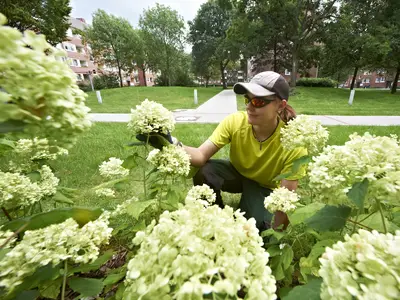 Gr&uuml;n- und Freifl&auml;chenmanagement
