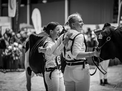 Rinderzucht Ha&szlig;bargen GbR