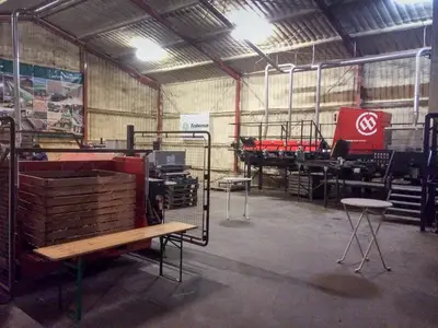 Kartoffelsortierung vollautomatisch