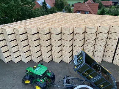 Kartoffelernte