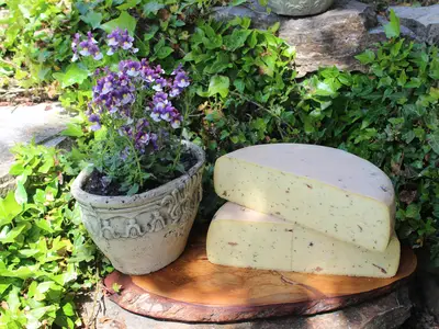 Bio-Kr&auml;uterk&auml;se