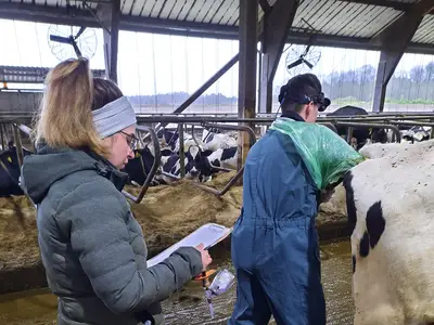 Fruchtbarkeit - TU mit dem Tierarzt