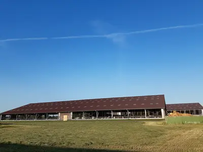 neuer Kuhstall, 330 Pl&auml;tze