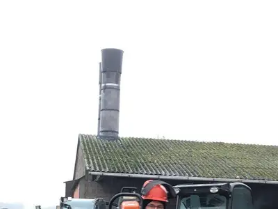Baumpflege