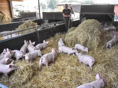 L&auml;ufergruppe im Stohabteil