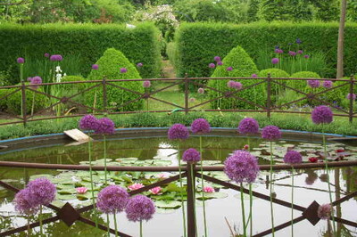 Wasser im Garten
