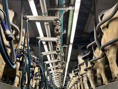 Kehlbecks Landwirtschaft GbR