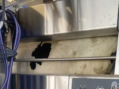 Moderne Melktechnik DeLaval VMS300