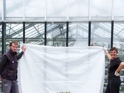 Das Wachstum der Pflanzen wird dokumentiert - inklusive Fotos