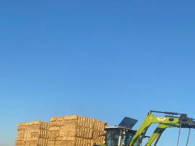 Rinderzucht Ha&szlig;bargen GbR