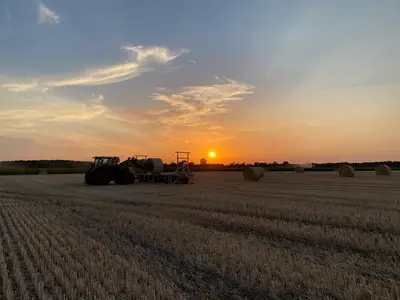 Stroh für die Pferde