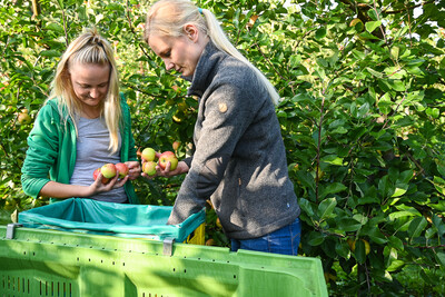 Ausbildung Obstbau