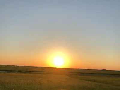 Grünland bis an die Nordsee