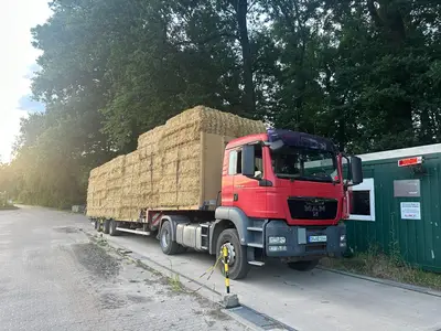 Stroh ausliefern