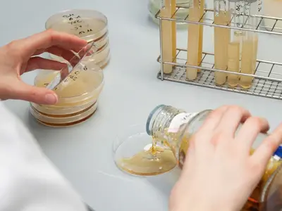 Vorbereitung mikrobiologischer Untersuchungen