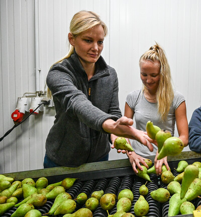 Ausbildung Obstbau