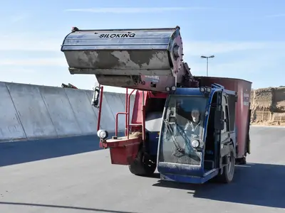 Füttern macht Spass