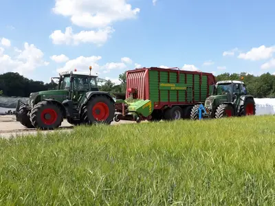 Kurz vor der Grasernte