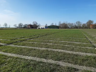 Winterungen mit Versuchsstation im Hintergrund