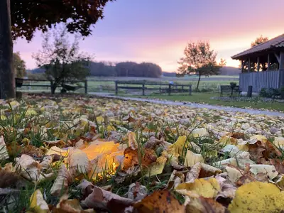 Blick vom Hof auf die Pferdekoppeln