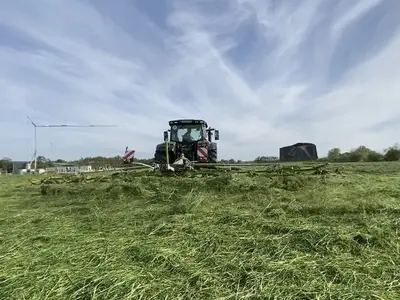Gras wenden