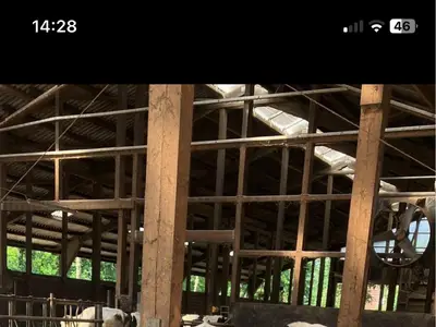 Aufzucht auf dem Hof