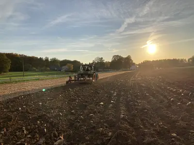 Pfl&uuml;gen nach der Maisernte