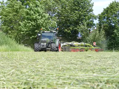 Gras wenden
