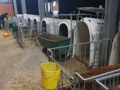 Kl&auml;ber f&uuml;ttern