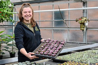 Ausbildung Zierpflanzenbau