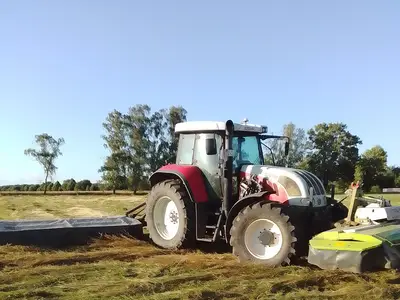 Johannes W&uuml;stemann