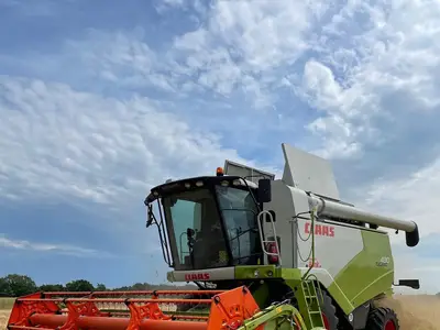 Getreide Ernte mit eigenem M&auml;hdrescher