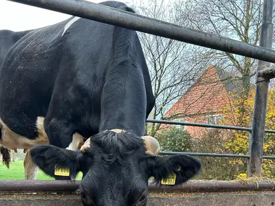 Kehlbecks Landwirtschaft GbR