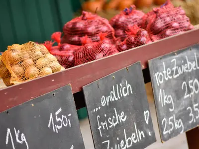Endlich neue Zwiebeln