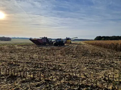 K&ouml;rnermaisernte