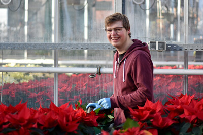 Ausbildung Zierpflanzenbau