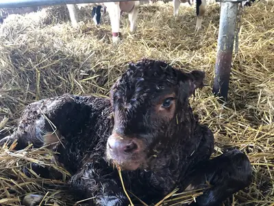 Kehlbecks Landwirtschaft GbR