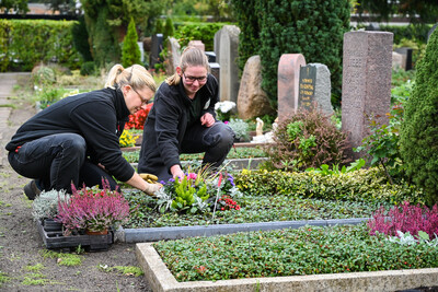 Friedhofsgärtner*in Ebene 3